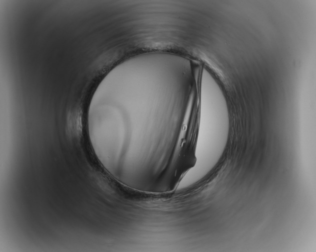 X0000091590685200709171134