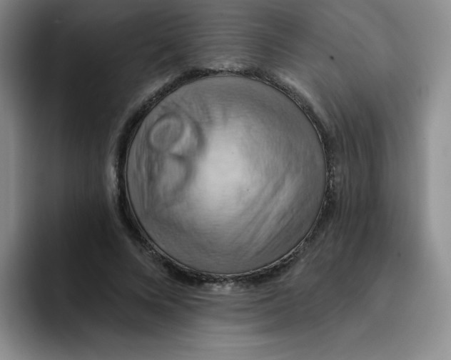 X0000091590688200709171134