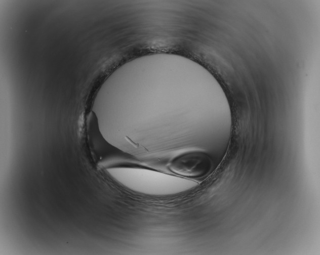 X0000091590689200709171134