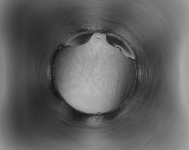 X0000091590700200709171134