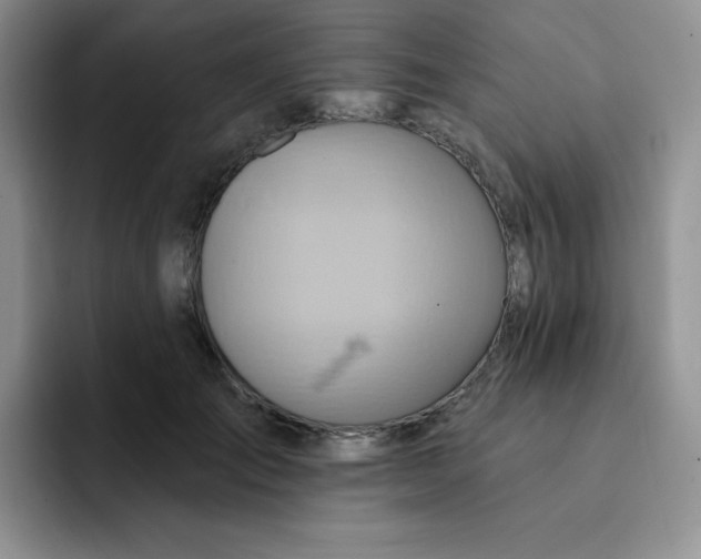 X0000091590701200709171134