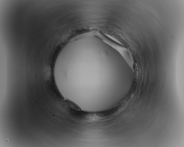 X0000091590704200709171134