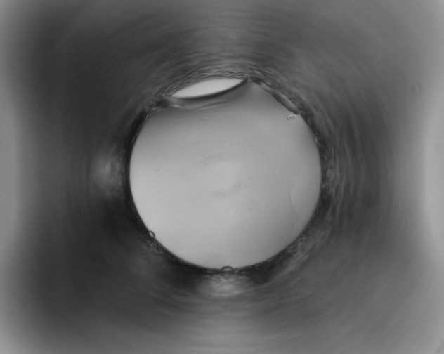 X0000091590708200709171134