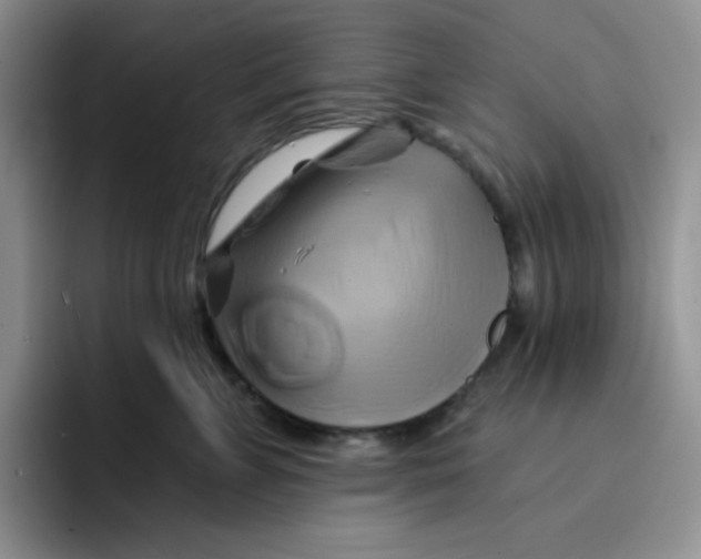 X0000091590715200709171134