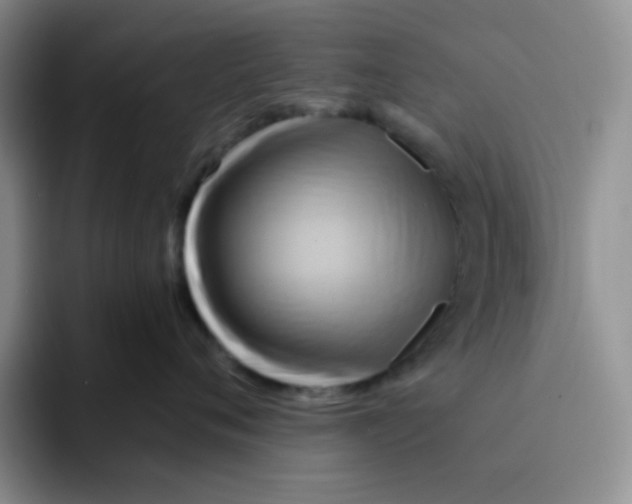 X0000091590720200709171134