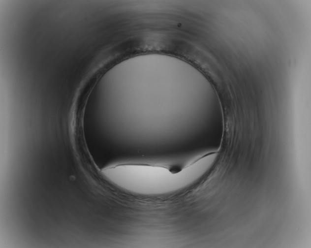 X0000091590722200709171134