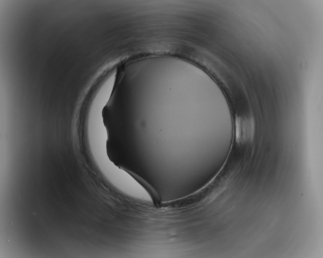 X0000091590723200709171134