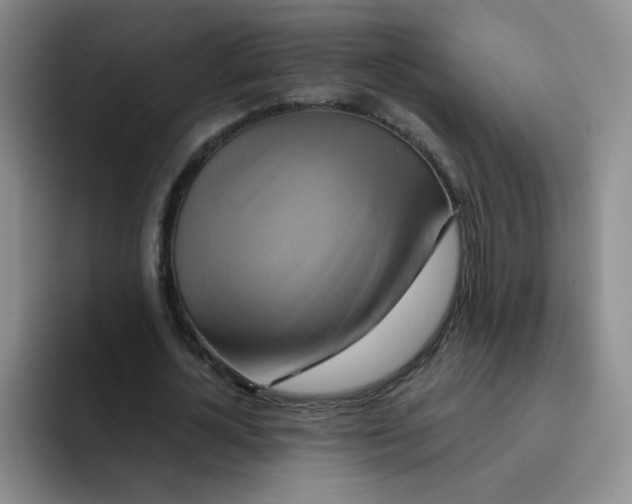 X0000091590724200709171134