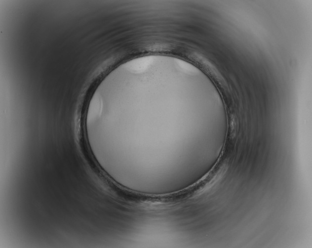 X0000091590725200709171134