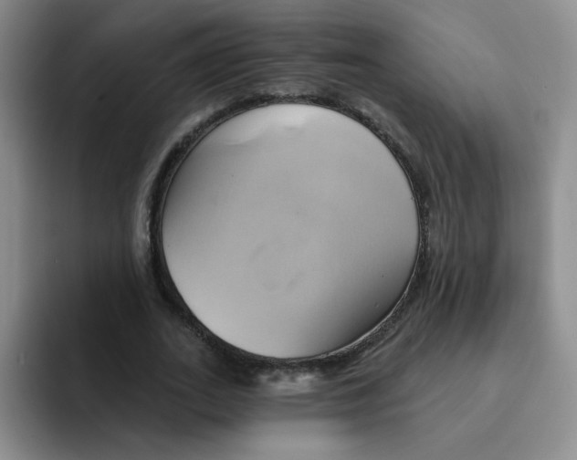 X0000091590727200709171134