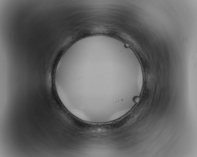 X0000091590729200709171134