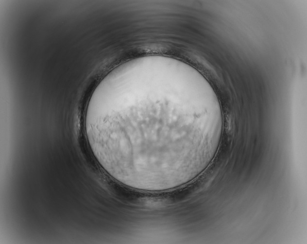 X0000091590733200709171134