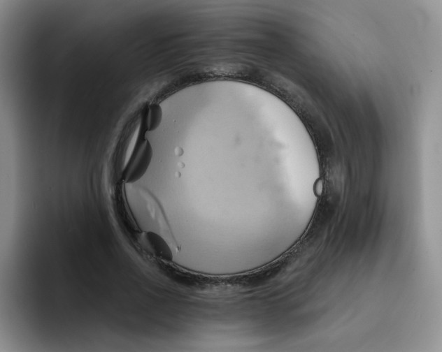 X0000091590734200709171134