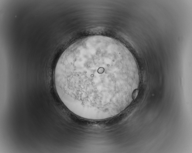 X0000091590737200709171134