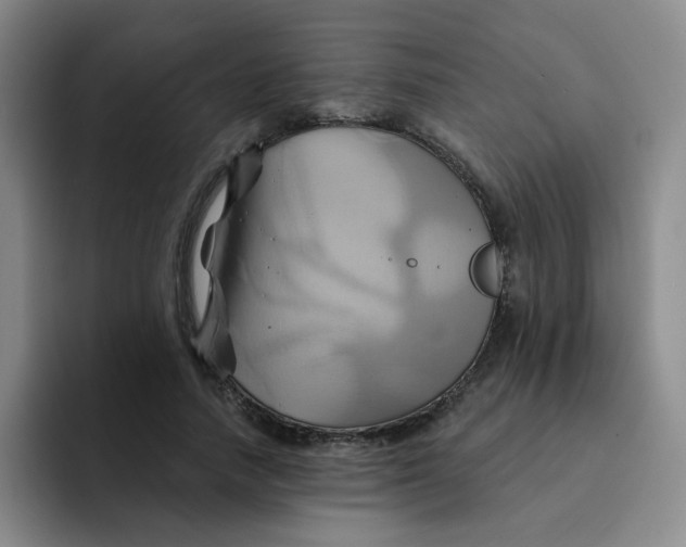 X0000091590738200709171134