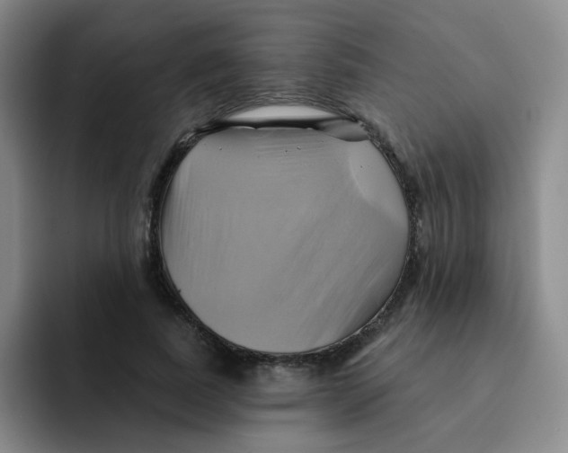 X0000091590739200709171134