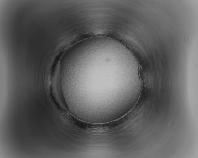 X0000091590740200709171134