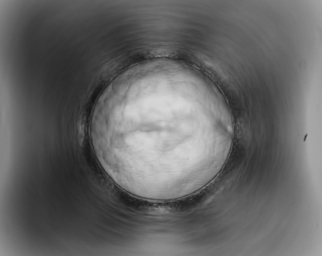 X0000091590741200709171134