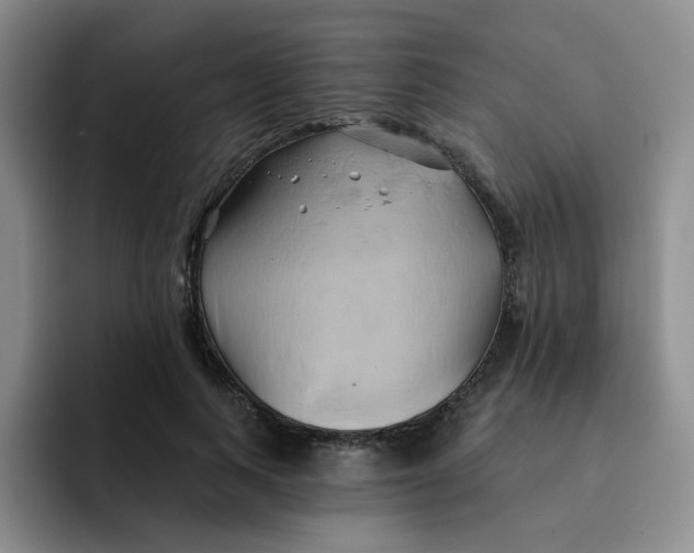 X0000091590743200709171134