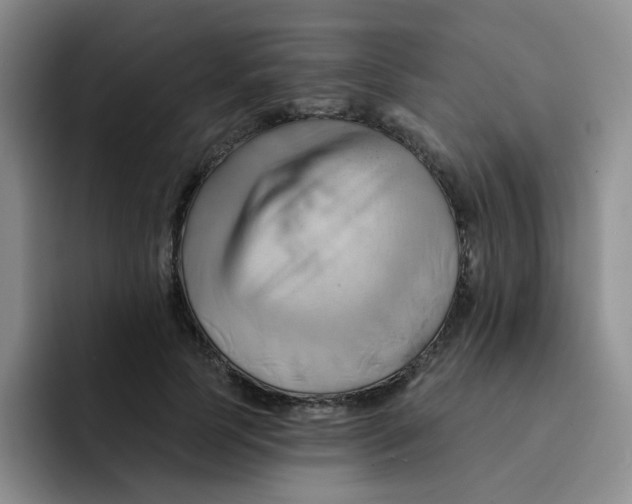 X0000091590745200709171134