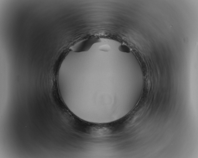 X0000091590747200709171134