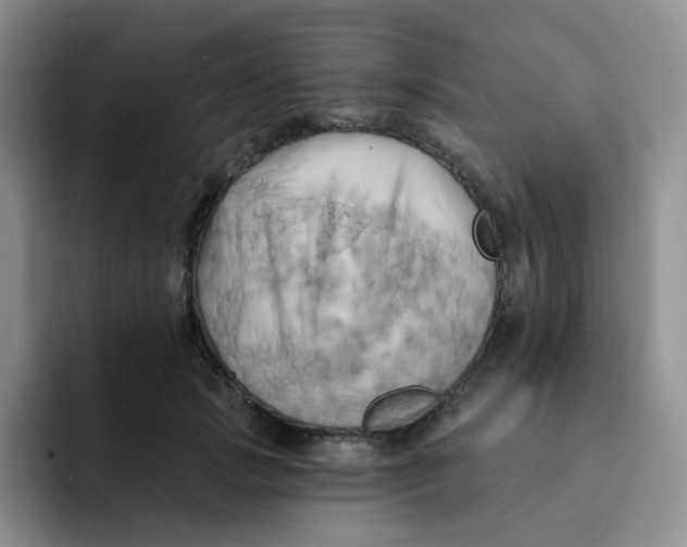 X0000091590749200709171134