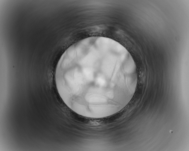 X0000091590753200709171134