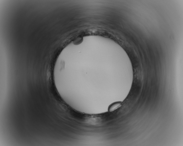 X0000091590754200709171134