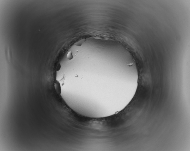 X0000091590756200709171134