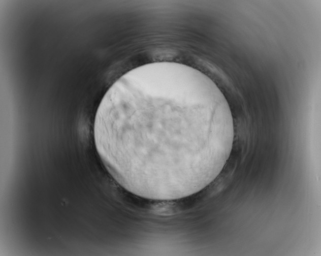 X0000091590761200709171134