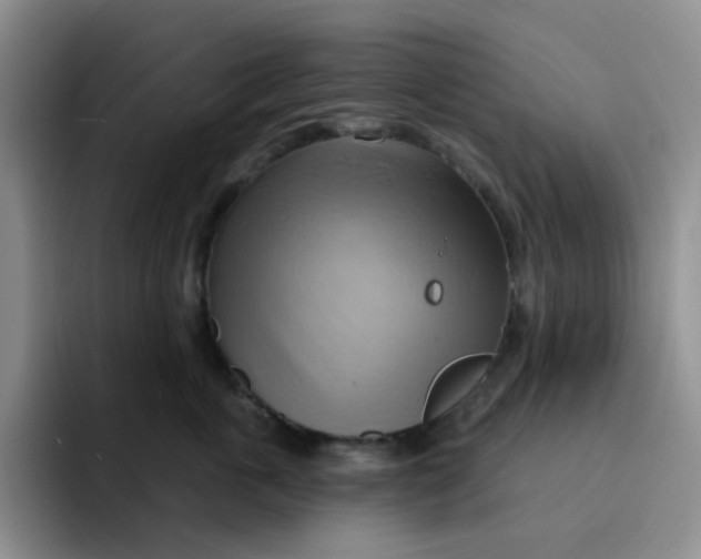 X0000091590763200709171134