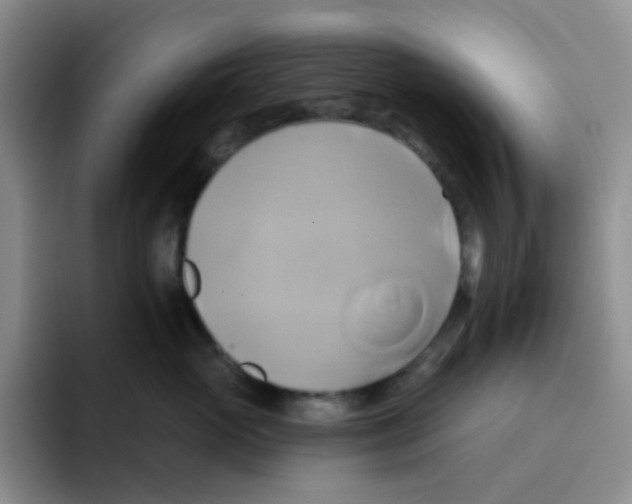 X0000091590765200709171134