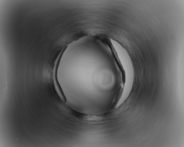 X0000091590766200709171134