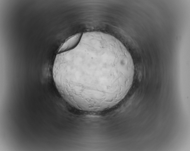 X0000091590770200709171133