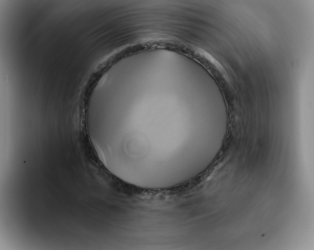 X0000091590775200709171133