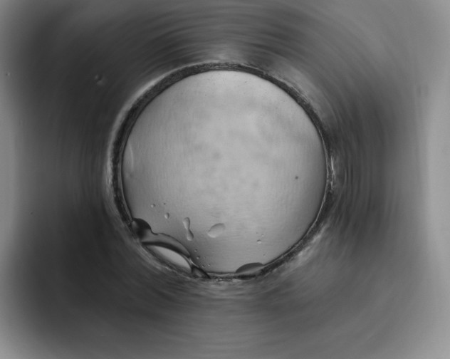 X0000091590780200709171133