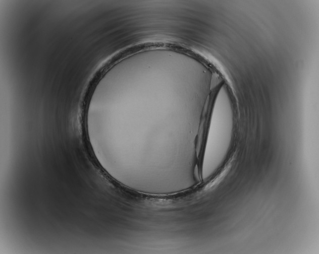 X0000091590783200709171133