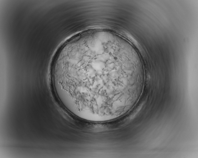 X0000091590787200709171133