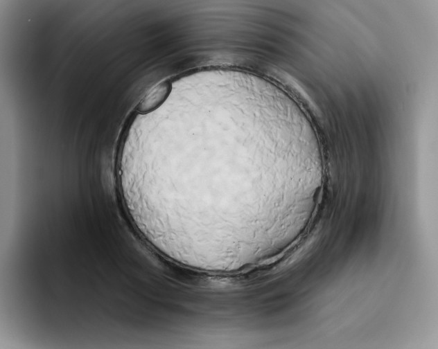 X0000091590794200709171133