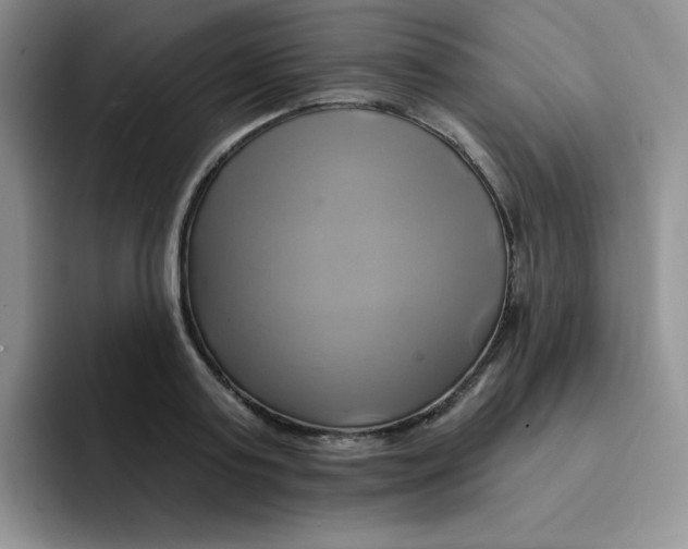 X0000091590795200709171133