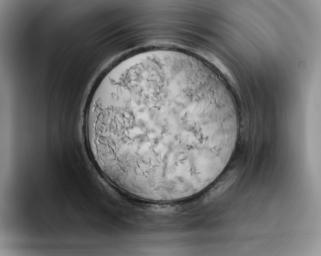 X0000091590799200709171133