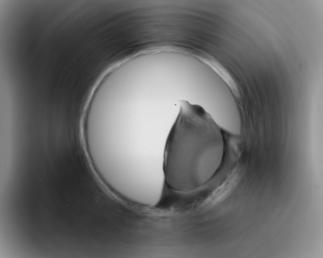 X0000091590813200709171133