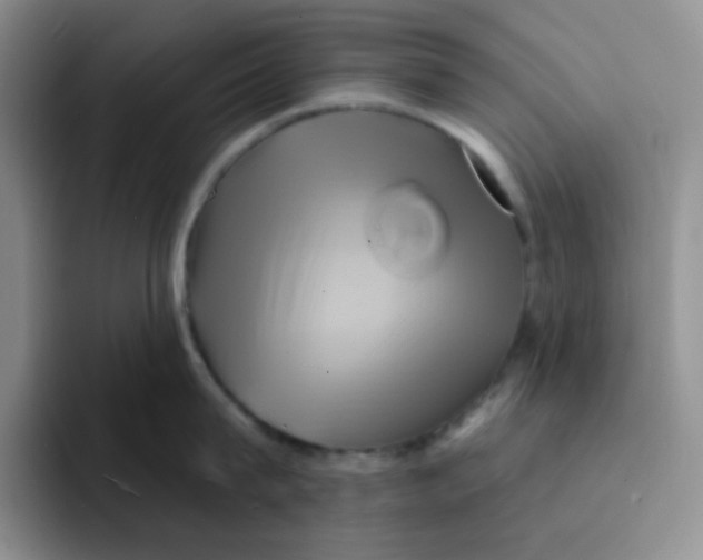 X0000091590815200709171133