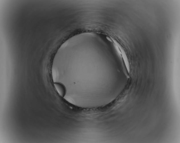 X0000091590817200709171132