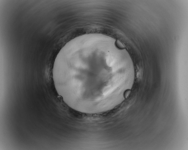 X0000091590819200709171132