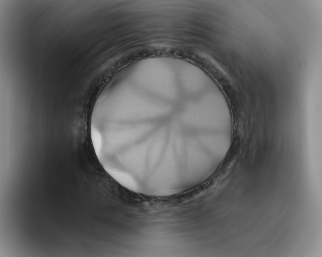 X0000091590821200709171132