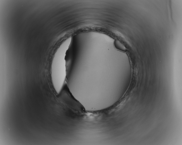 X0000091590822200709171132