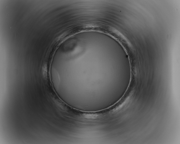 X0000091590825200709171132