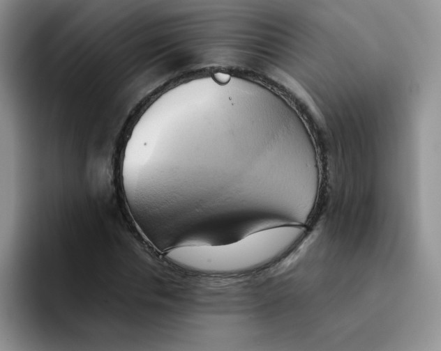 X0000091590826200709171132