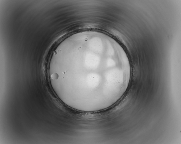 X0000091590827200709171132